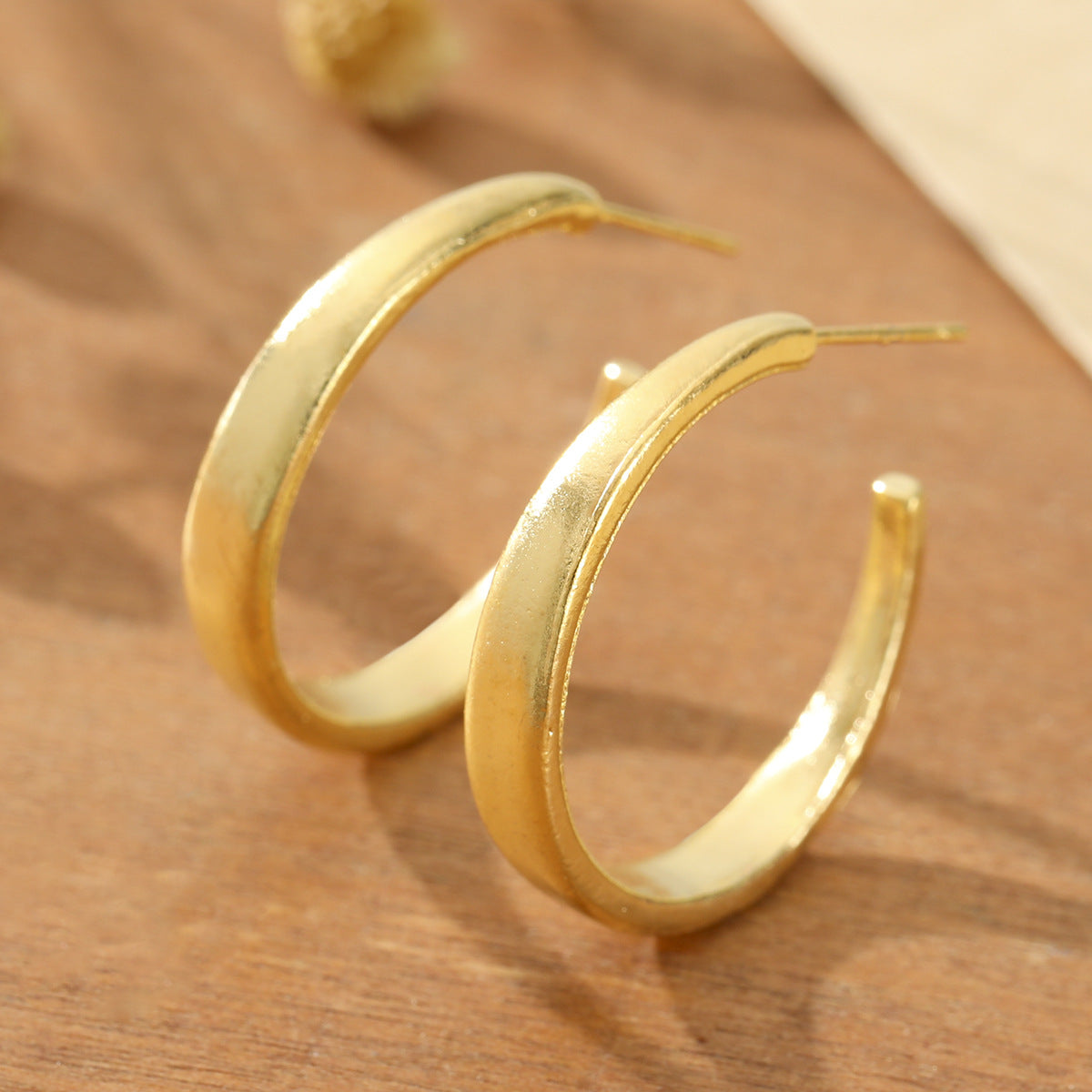 Matte Brushed Geometric Earrings For Women
